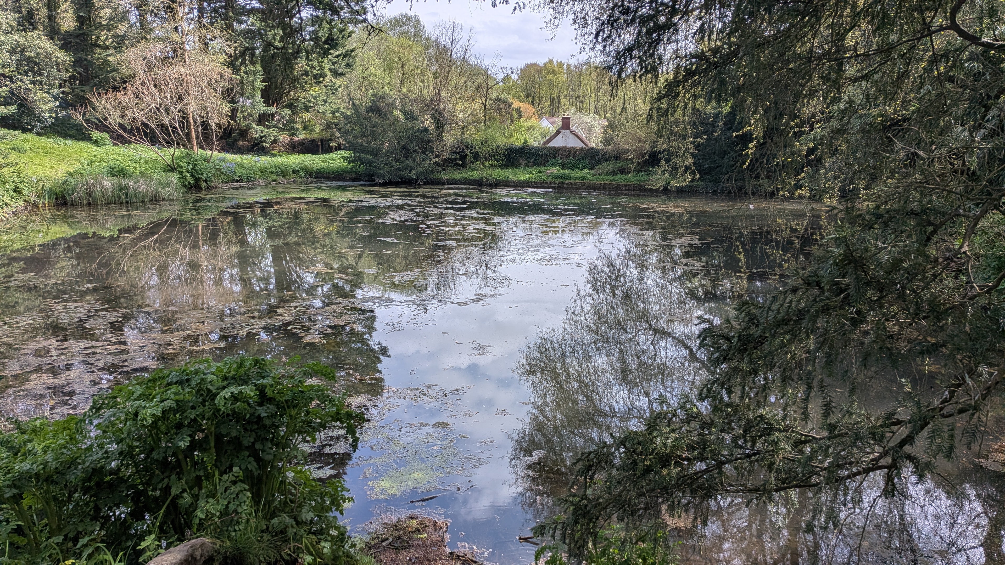 Can You Use Ultralight Fishing Gear in Freshwater? (UK Guide)