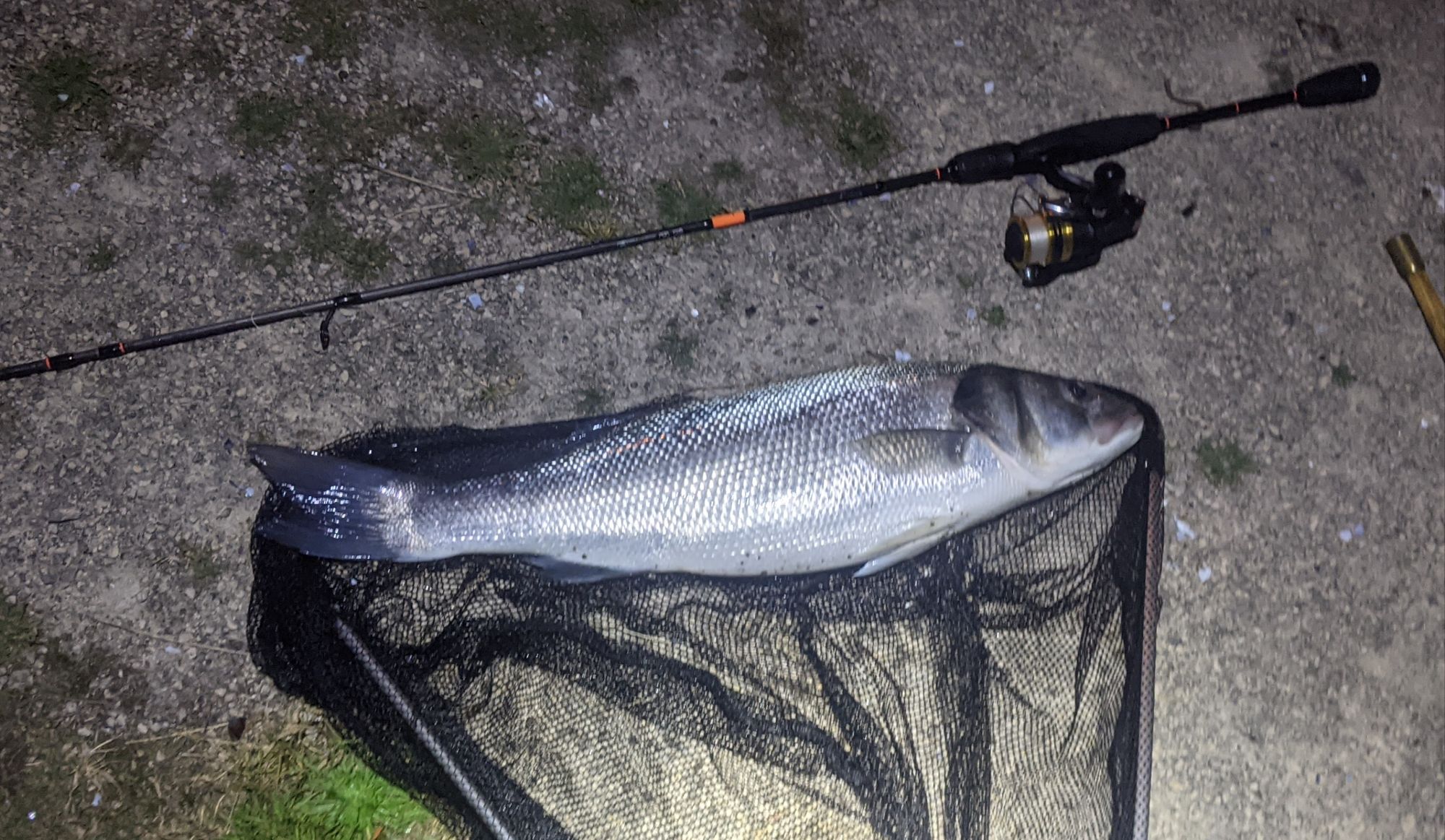 Ultralight Fishing Beginner Guide (Start the Right Way)